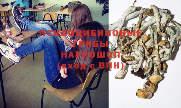 PSILOCYBIN Бронницы