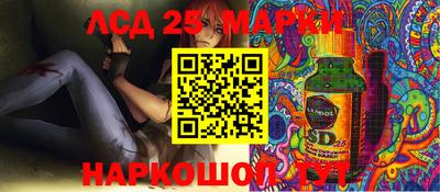 a pvp Новокубанск