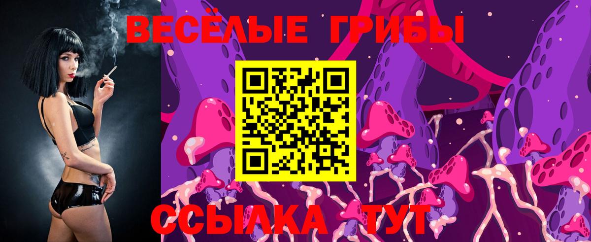 Псилоцибиновые грибы GOLDEN TEACHER  Галлюциногенные грибы ЛСД  Улан-Удэ  Вход с VPN 